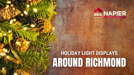 Holiday Lights Napier